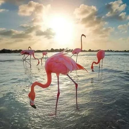 La Casa De La Playa 公寓 *